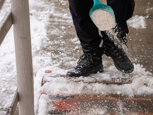 ice melt rock salt is being spread on your walking path to melt the snow and ice