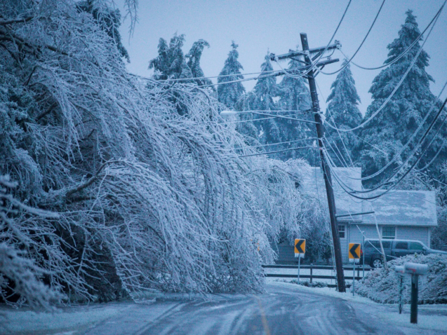 Snow-covered road with fallen trees and power lines during severe winter storm.