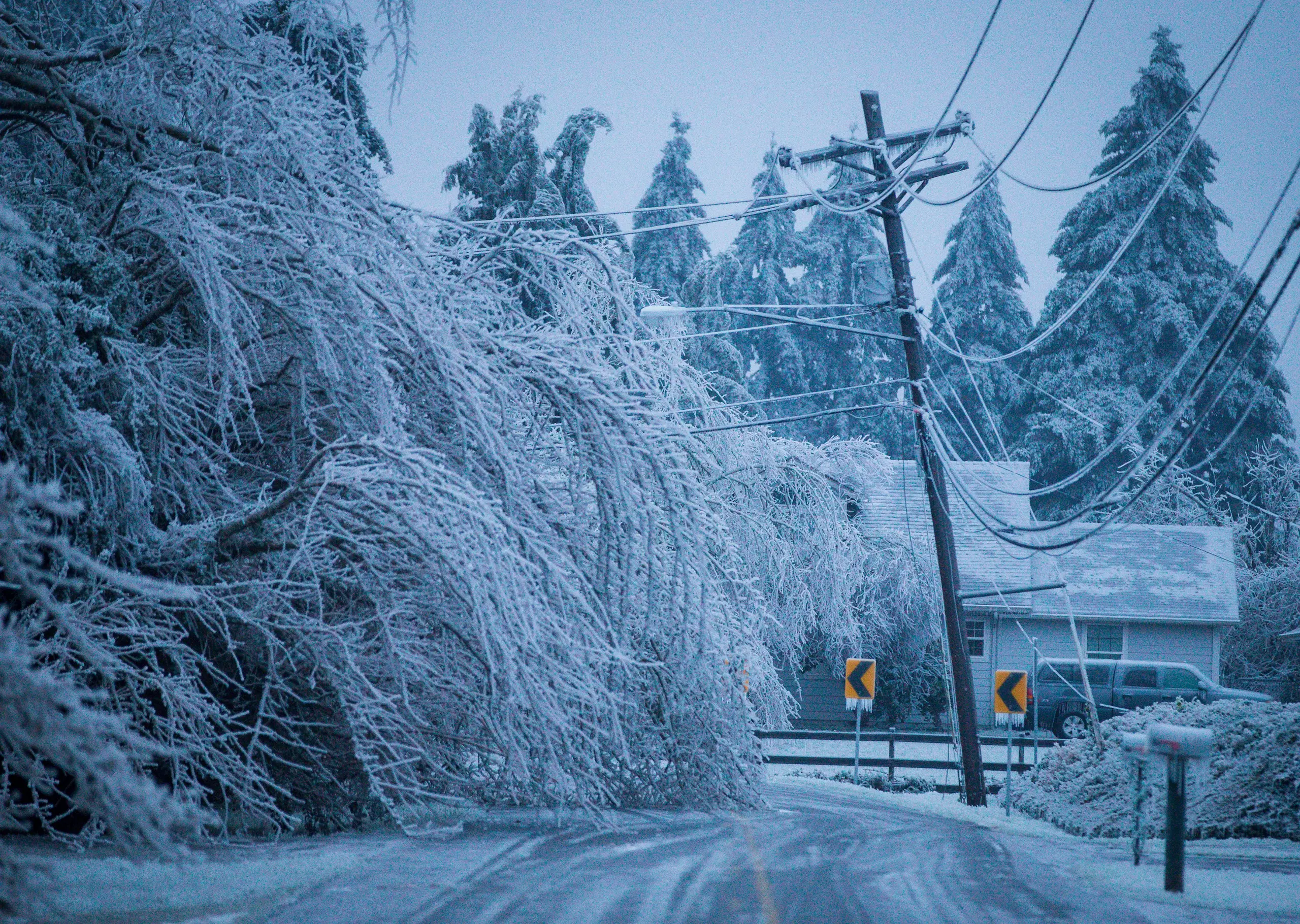 Snow-covered road with fallen trees and power lines during severe winter storm.