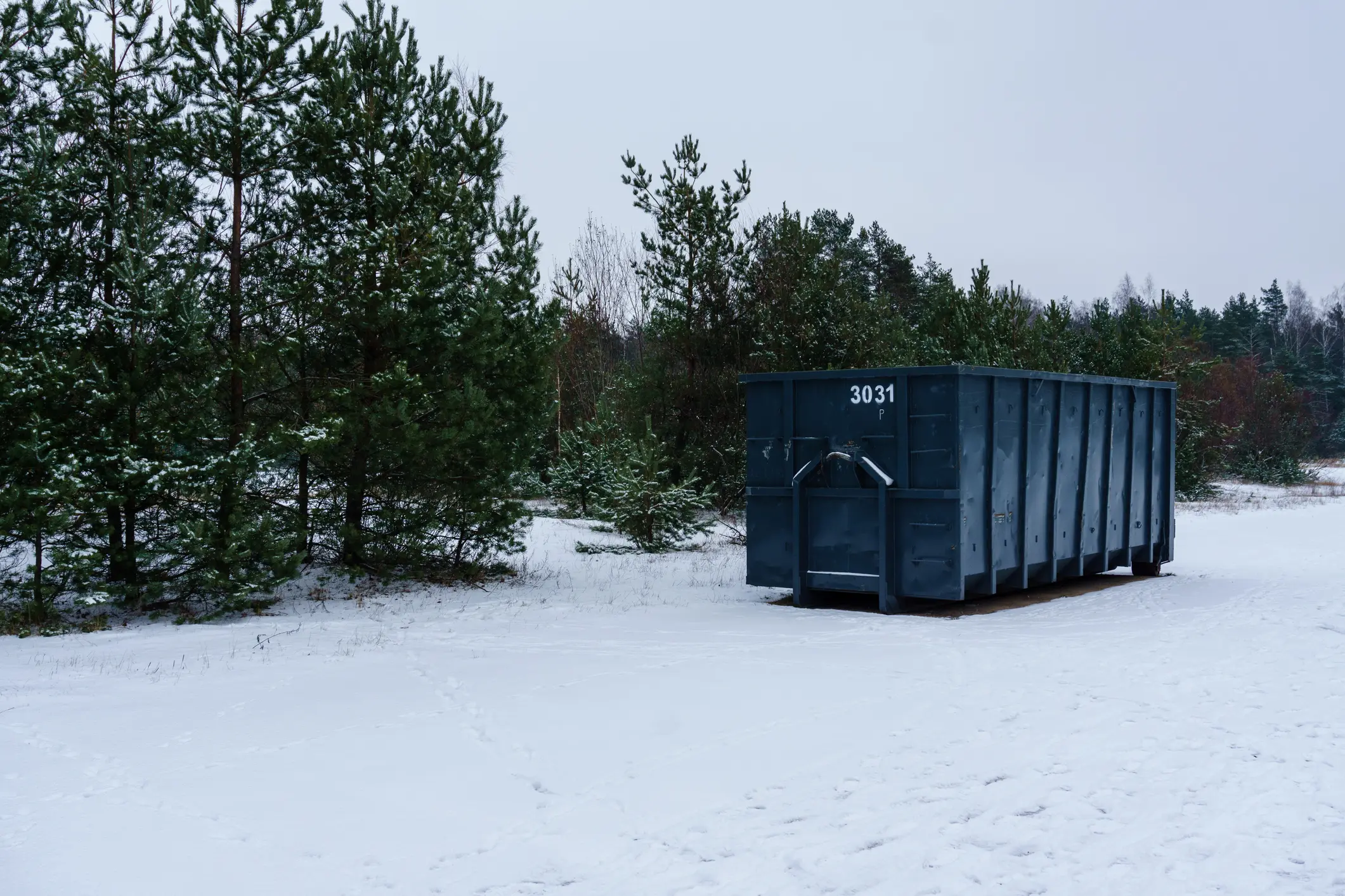 Heavy-duty dumpster in snow-covered area used during LDR storm recovery operations.